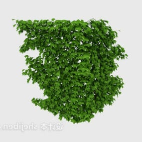 Árbol Ficus Carica modelo 3d