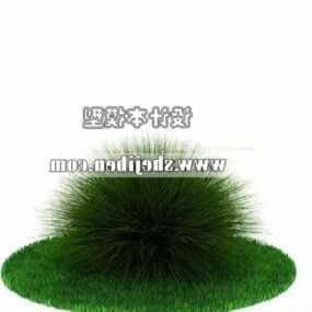 Model 3D krzewów kulistych trawy