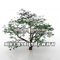 Modelo 3d de árvore de galhos ao ar livre