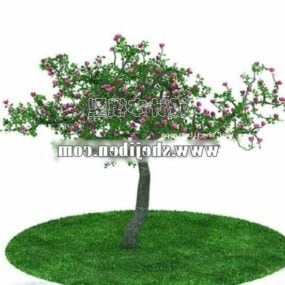 Outdoor Tree With Leaves And Flower 3d model