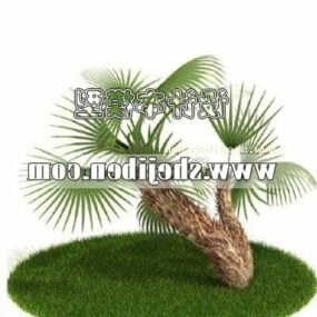 Venkovní zahrada malá palma 3D model