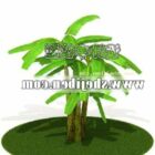 屋外植物の3Dモデルのダウンロード。