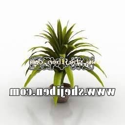Sansevieria Plant Pot 3d model