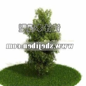 Outdoor Small Hedge Plant 3d-modell