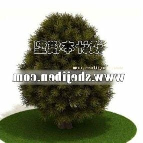 Realistic Outdoor Hedge Plant 3d model