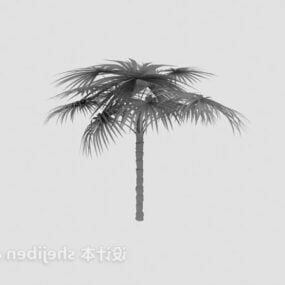 مدل سه بعدی درخت نارگیل بلند