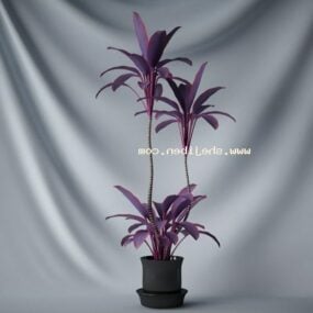 Indoor Potted Purple Plant 3d model