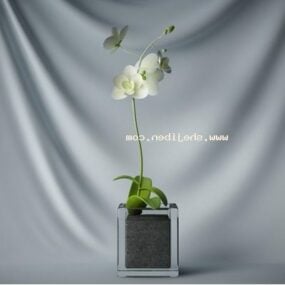 Modello 3d a forma quadrata per piante in vaso per interni