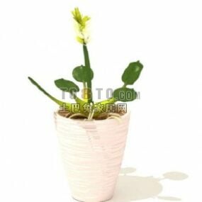 Innendørs Potted Cactus Bonsai Plant 3d-modell