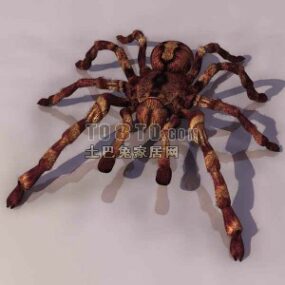 Ζώο αράχνη με υφή τρισδιάστατο μοντέλο