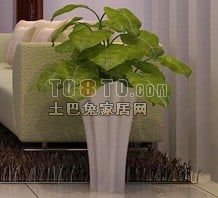 Modelo 3D de planta de bonsai de interior com folha grande