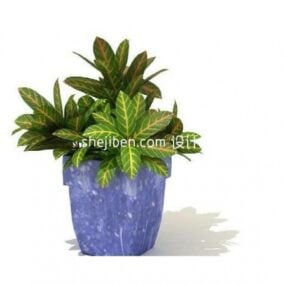 Modello 3d di piccola pianta bonsai da interno