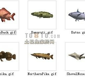Fish Animal Collection V1 3d-modell