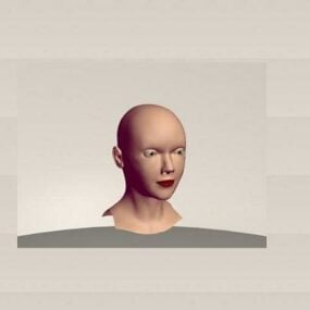 Human Head 3d model