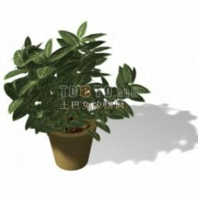 Beautiful Potted Plant 3d model