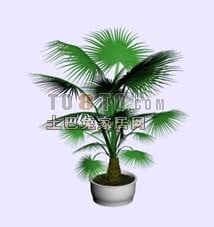 Modelo 3d de planta de palmeira pequena em vaso interno
