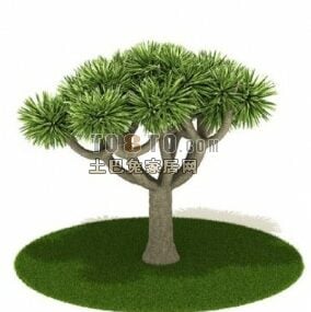 Grentræ uden blade 3d-model