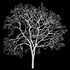 शाखाओं वाला पेड़ अल्फा मास्क 3डी मॉडल