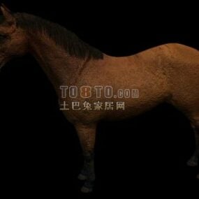 Braunes Pferd-Nutztier-3D-Modell