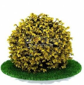 Sphere Hedge Bushes Plant 3d-malli