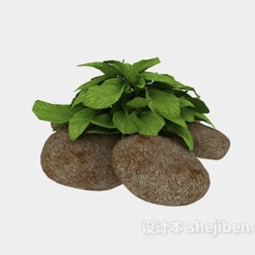 Outdoor Plant With Pebble 3d model