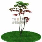 Outdoor Plant Tree With Grass