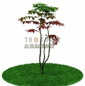 Fern Plants With Red Flower 3d model