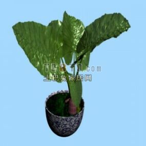 Modelo 3d de planta em vaso de bonsai de folha