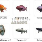 Animal-fish 1-30 مجموعة من النماذج ثلاثية الأبعاد ed.