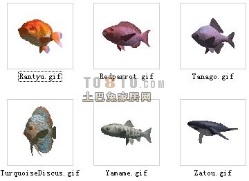Aquarientiere Fische 30 Sets