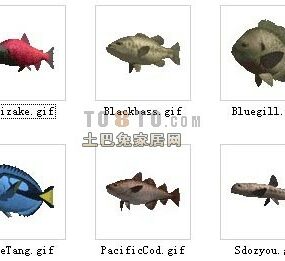 Mô hình 30 bộ cá động vật 3d