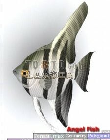 مدل سه بعدی آکواریوم ماهی کوچک دریایی