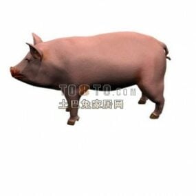 农场猪3d模型