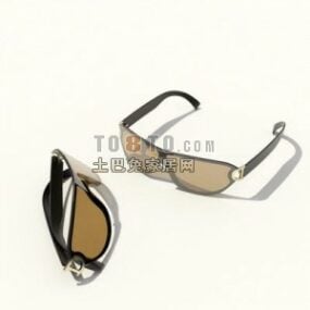 İki Lüks Moda Gözlük 3D model
