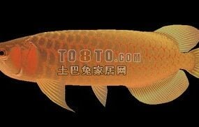 Modelo 3d de animal de aquário de peixe amarelo
