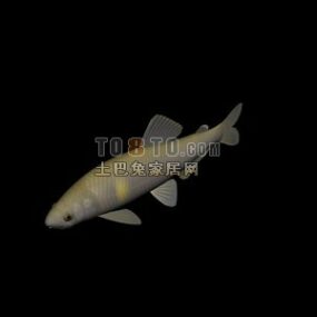 Modelo 3d de carpa de rio de peixe animal