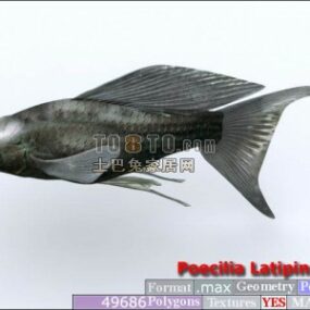 مدل سه بعدی رودخانه ماهی