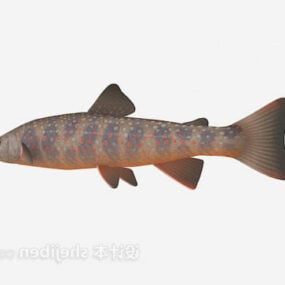 Modelo 3d de peixes de lagoa