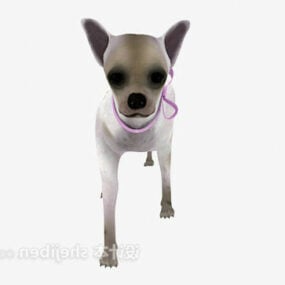Animal de cachorro com coleiras Modelo 3D