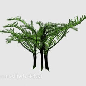 Ferns Plant 3d model