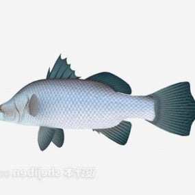 Water Carp Fish 3d model