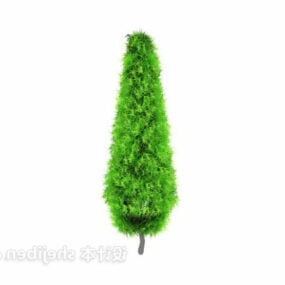 Pine Cypress Tree 3d-model