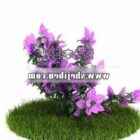 Purple Plant Flower