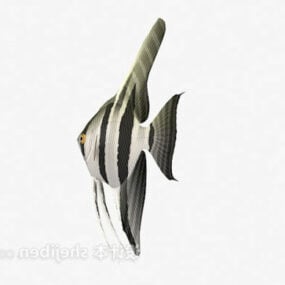 3D model pruhované ryby