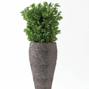 3д модель растения "Бетонная ваза и горшок"