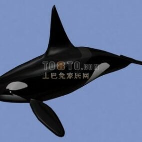 Model 3D zwierzęcego czarnego wieloryba