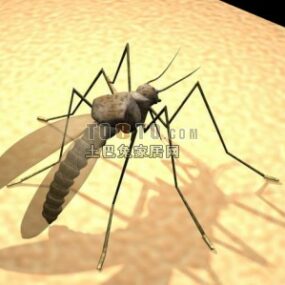 3D model zvířete komára
