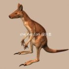 Stojący zwierzęcy kangur