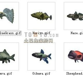 Ryby akwariowe dla zwierząt 30 zestawów Model 3D