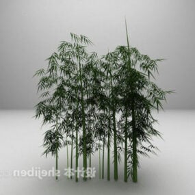 Bamboo Bushes 3d model